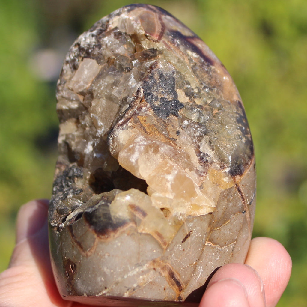 Septarian Dragon Stone geode egg 329g Rocks and Things