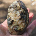 Septarian Dragon Stone geode egg 329g Rocks and Things