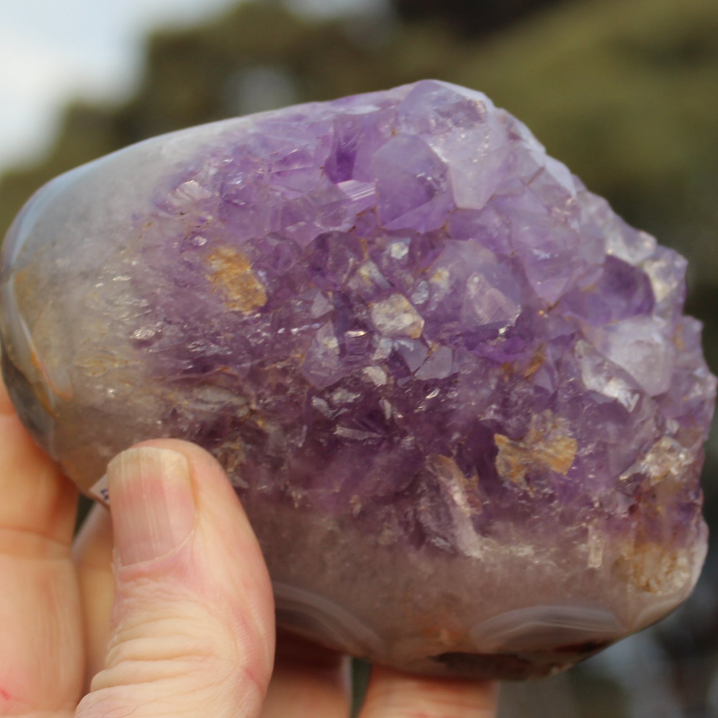 Amethyst Geode cluster 417g Rocks and Things