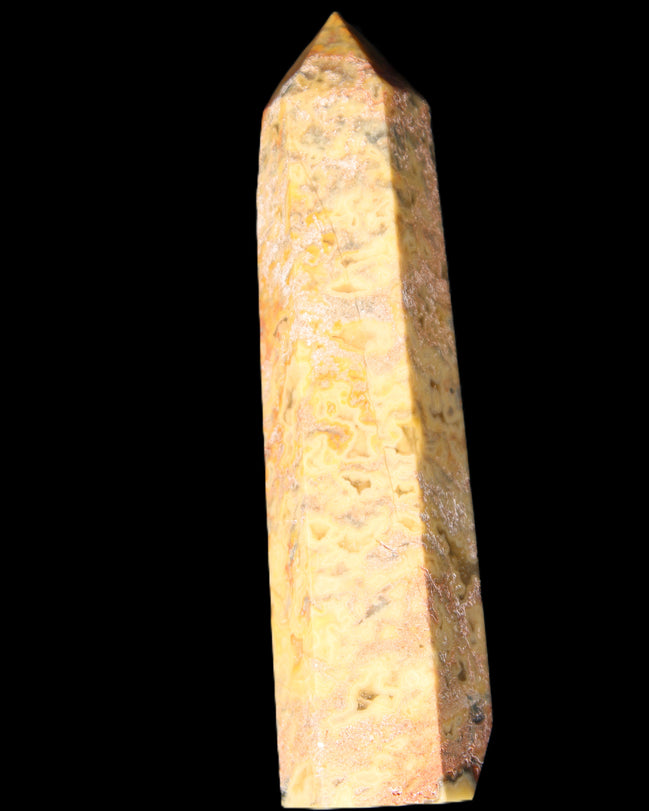 Claybank Agate Marquise wand 107g in sunlight - Rocks and Things Store