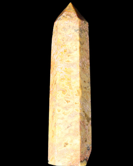 Claybank Agate Marquise wand 107g in sunlight - Rocks and Things Store