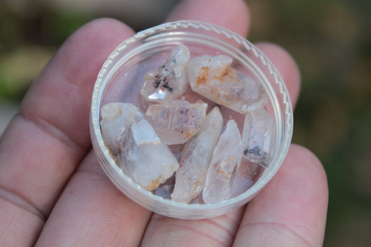 Lepidocrosite Fire Quartz from Namibia 5/6 crystals 5-7g Rocks and Things