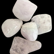 Kunzite Spodumene 3-5 crystals 12-15g in sunshine - Rocks and Things Store