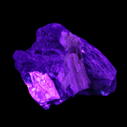 Biotite with Yellow Tourmaline symbosis 28g in UV light - Rocks and Things Store