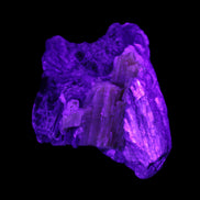 Biotite with Yellow Tourmaline symbosis 28g in UV light - Rocks and Things Store