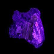 Biotite with Yellow Tourmaline symbosis 28g in UV light - Rocks and Things Store