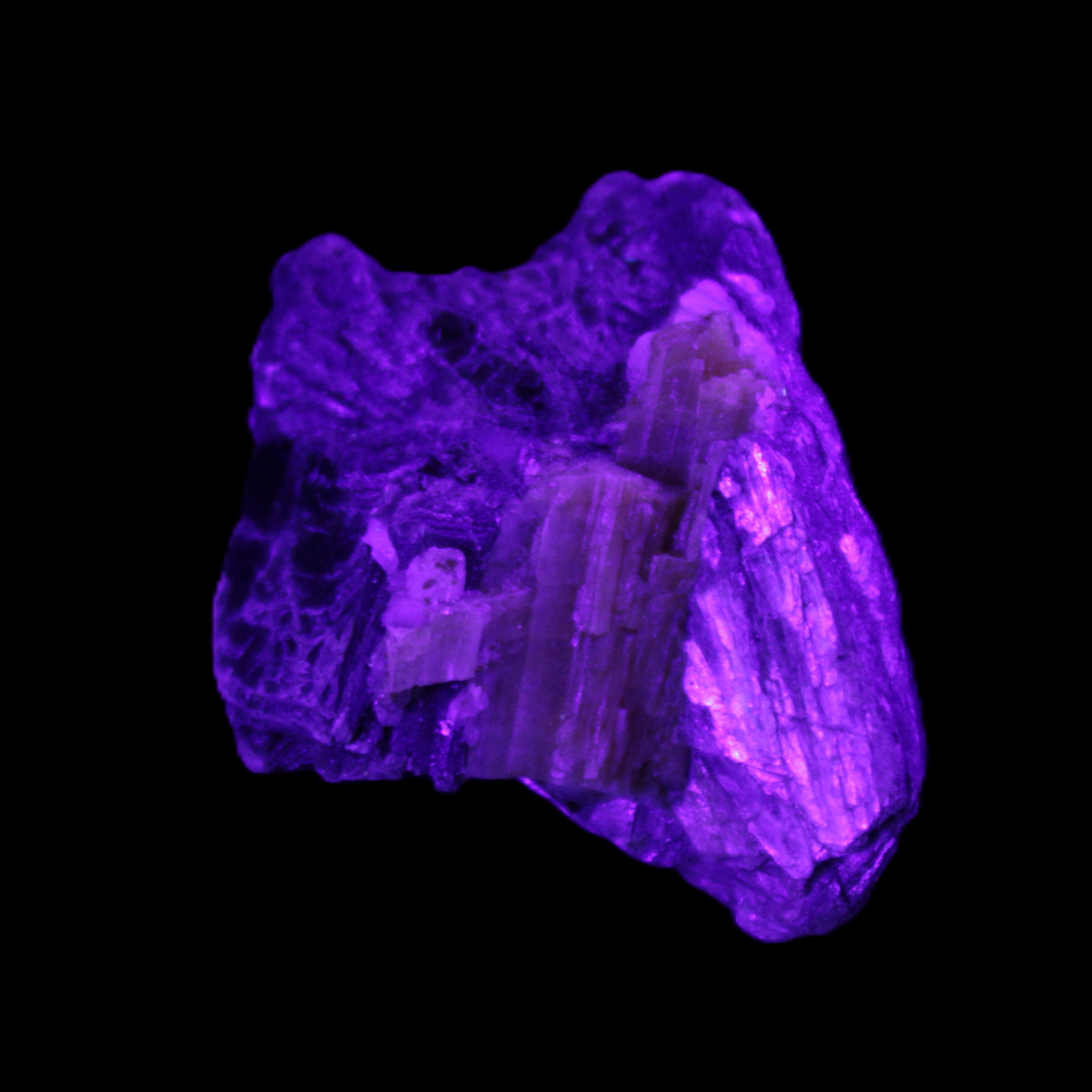 Biotite with Yellow Tourmaline symbosis 28g in UV light - Rocks and Things Store