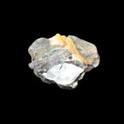 Biotite with Yellow Tourmaline symbosis 28g in sunlight - Rocks and Things Store