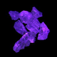 Golden Scapolite from Tanzania 6-8 crystals 7-8g Rocks and Things Store