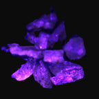 Golden Scapolite from Tanzania 6-8 crystals 7-8g Rocks and Things