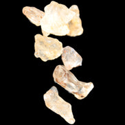 Golden Scapolite from Tanzania 6-8 crystals 7-8g Rocks and Things