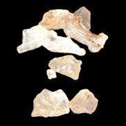 Golden Scapolite from Tanzania 6-8 crystals 7-8g Rocks and Things