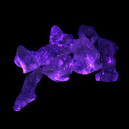 Golden Scapolite from Tanzania 6-8 crystals 7-8g Rocks and Things