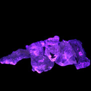 Golden Scapolite from Tanzania 6-8 crystals 7-8g Rocks and Things