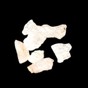 Golden Scapolite from Tanzania 6-8 crystals 7-8g Rocks and Things