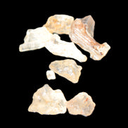 Golden Scapolite from Tanzania 6-8 crystals 7-8g Rocks and Things