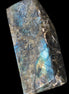 Labradorite long freeform 783g in sunlight - Rocks and Things Store