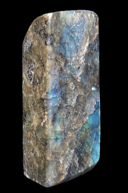Labradorite long freeform 783g in sunlight - Rocks and Things Store