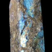 Labradorite long freeform 783g in sunlight - Rocks and Things Store