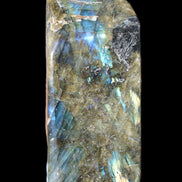 Labradorite long freeform 783g in sunlight - Rocks and Things Store