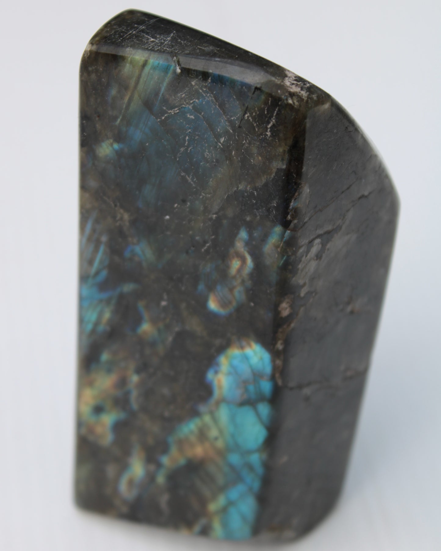 Labradorite long freeform 783g