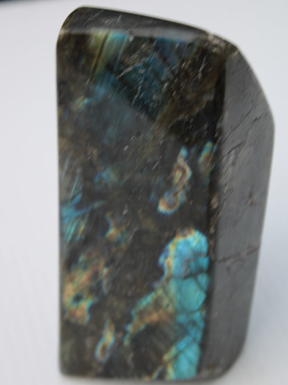 Labradorite long freeform 783g