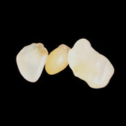 Alashan Candy Agate 3 stones 9-11g in sunlight - Rocks and Things Store