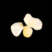 Alashan Candy Agate 3 stones 9-11g in sunlight - Rocks and Things Store