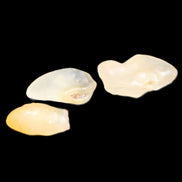 Alashan Candy Agate 3 stones 9-11g in sunlight - Rocks and Things Store