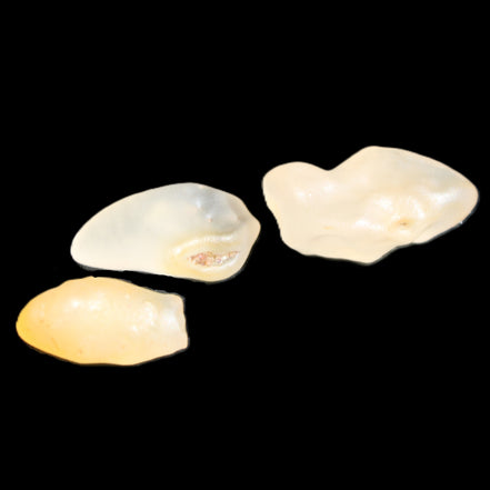 Alashan Candy Agate 3 stones 9-11g in sunlight - Rocks and Things Store