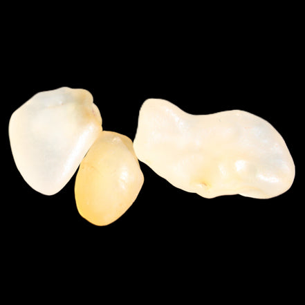 Alashan Candy Agate 3 stones 9-11g in sunlight - Rocks and Things Store