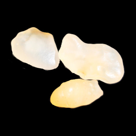 Alashan Candy Agate 3 stones 9-11g in sunlight - Rocks and Things Store