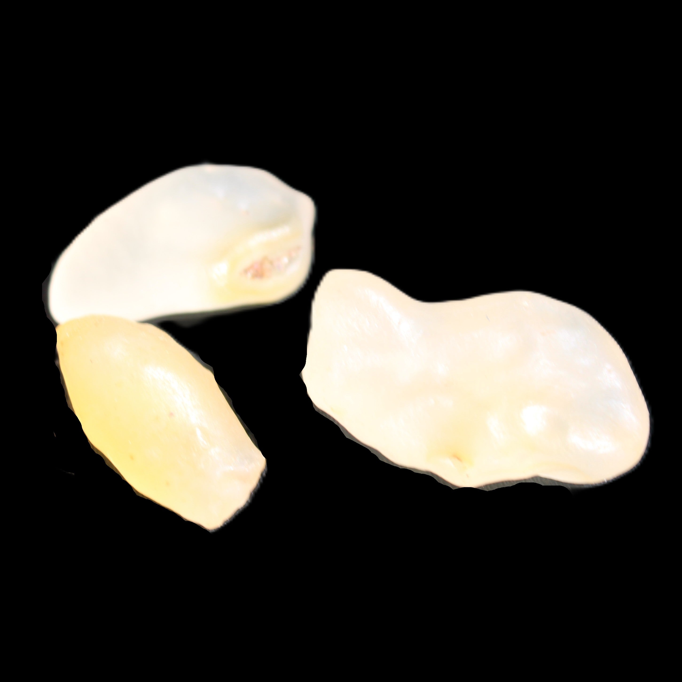 Alashan Candy Agate 3 stones 9-11g in sunlight - Rocks and Things Store