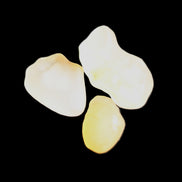 Alashan Candy Agate 3 stones 9-11g in sunlight - Rocks and Things Store