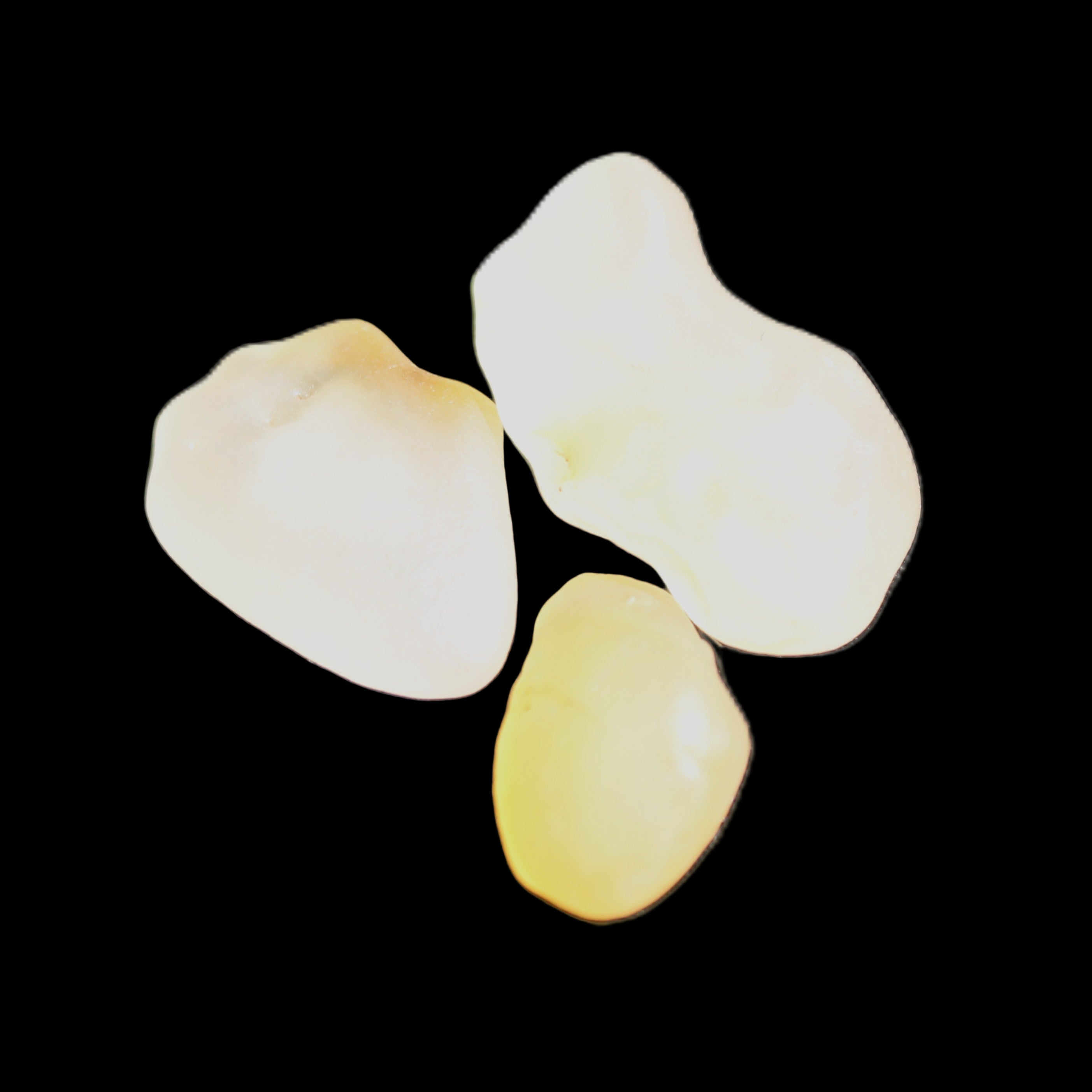 Alashan Candy Agate 3 stones 9-11g in sunlight - Rocks and Things Store