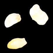 Alashan Candy Agate 3 stones 9-11g in sunlight - Rocks and Things Store