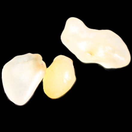 Alashan Candy Agate 3 stones 9-11g in sunlight - Rocks and Things Store