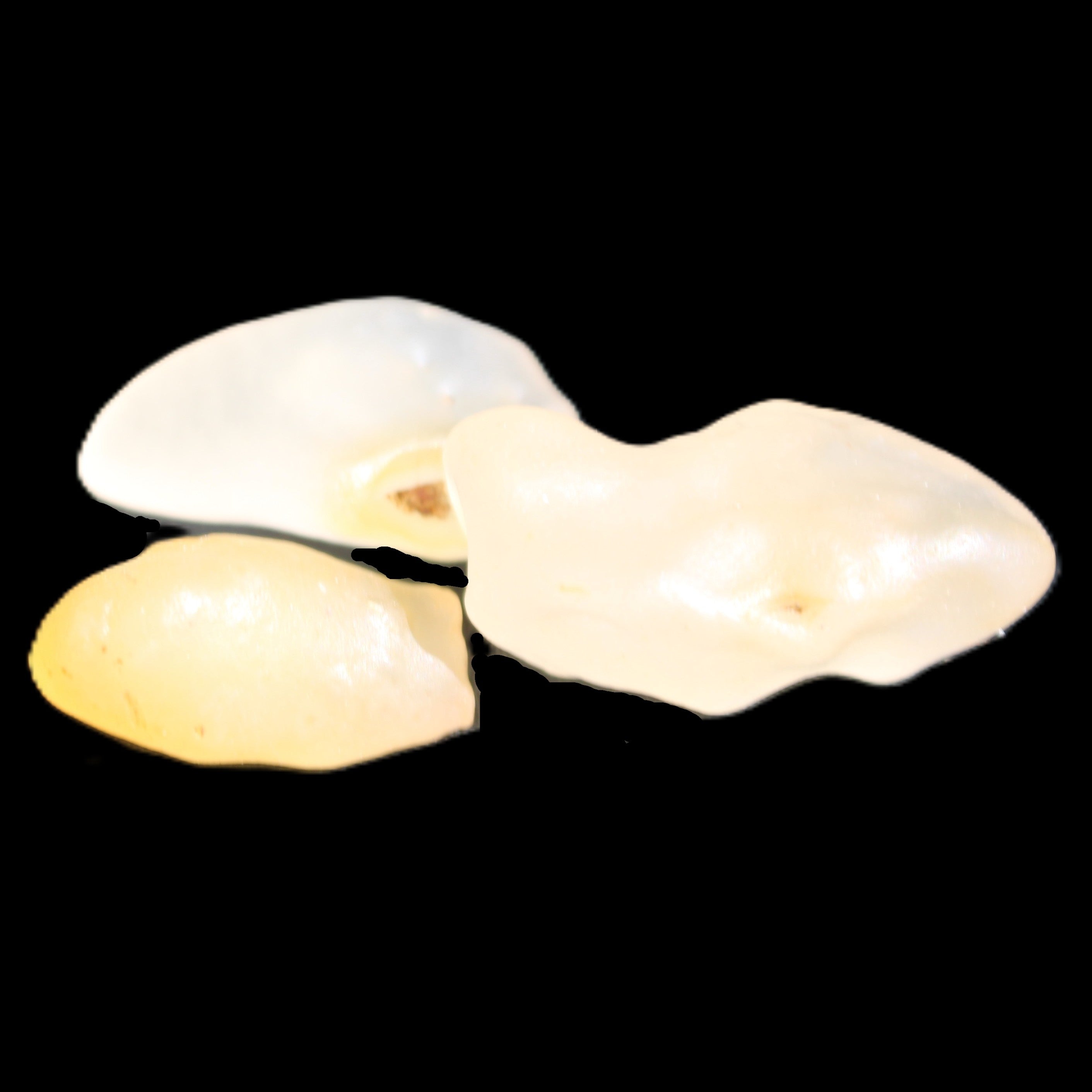 Alashan Candy Agate 3 stones 9-11g in sunlight - Rocks and Things Store