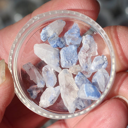 Blue Dumortierite tiny crystals 5g