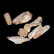 Golden Scapolite from Tanzania 6-9 crystals 5-7g Rocks and Things