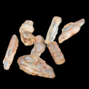 Golden Scapolite from Tanzania 6-9 crystals 5-7g Rocks and Things