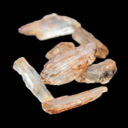 Golden Scapolite from Tanzania 6-9 crystals 5-7g Rocks and Things