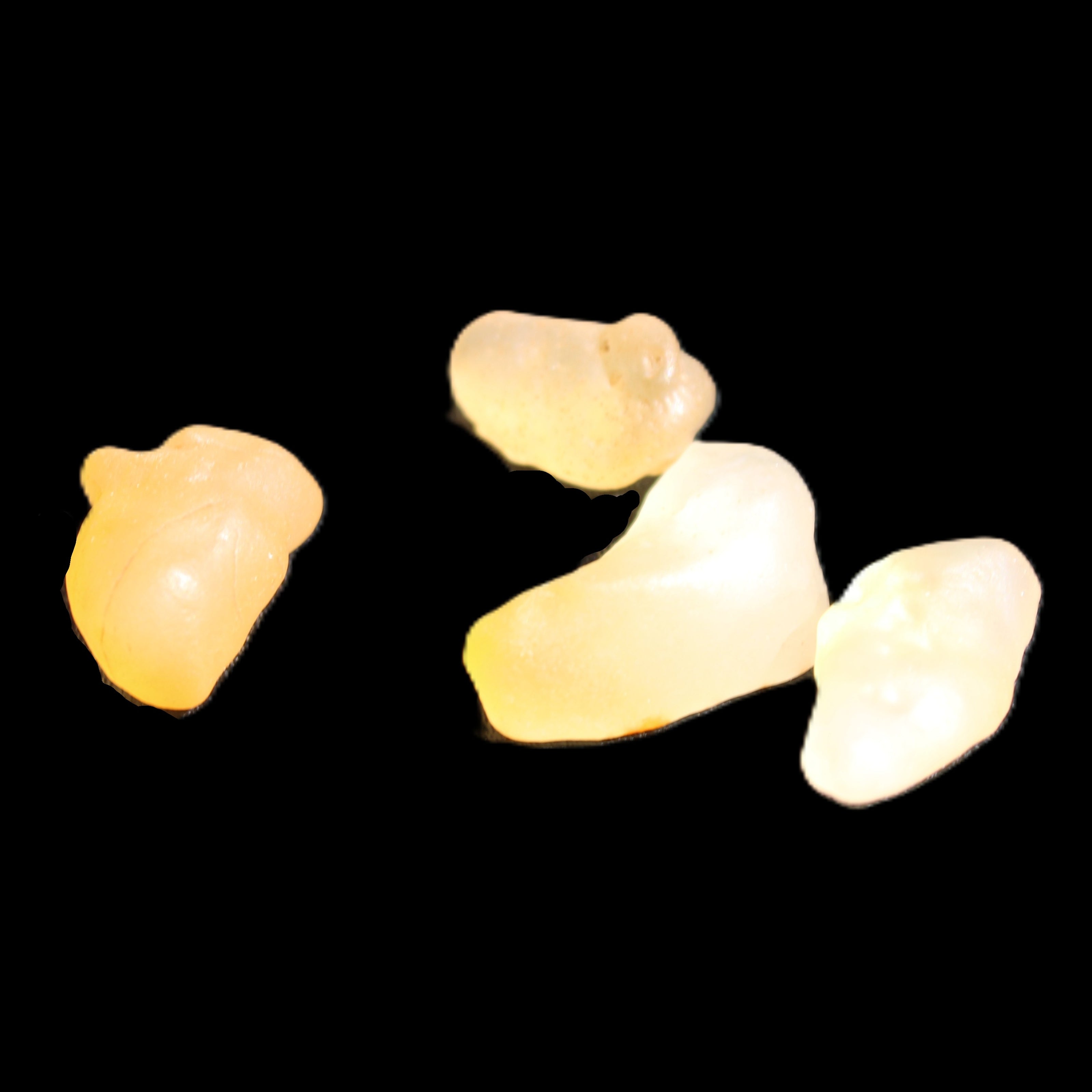 Gobi Alashan candy Agate 3-9 stones 6-8g in sunlight - Rocks and Things Store