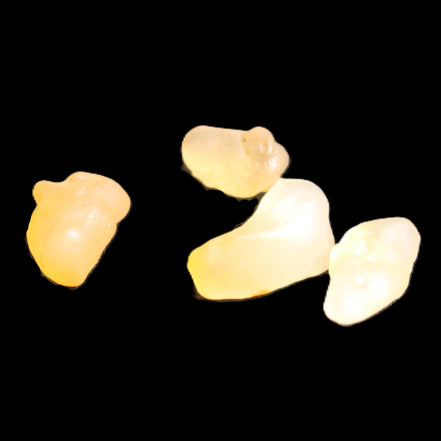 Gobi Alashan candy Agate 3-9 stones 6-8g in sunlight - Rocks and Things Store