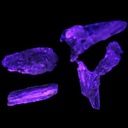 Golden Scapolite from Tanzania 6-9 crystals 5-7g Rocks and Things