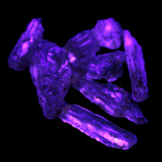 Golden Scapolite from Tanzania 6-9 crystals 5-7g Rocks and Things