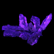 Golden Scapolite from Tanzania 6-9 crystals 5-7g Rocks and Things