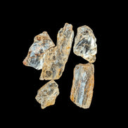Golden Scapolite from Tanzania 6-9 crystals 5-7g Rocks and Things