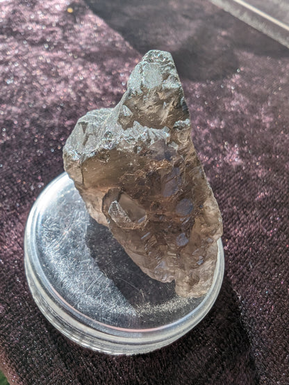 Etched Smoky Quartz from Himalaya 21g Rocks and Things