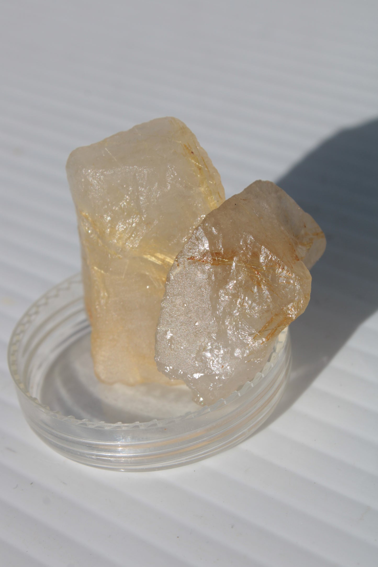 Golden Hair Rutile Quartz 2 crystals 24-30g Rocks and Things